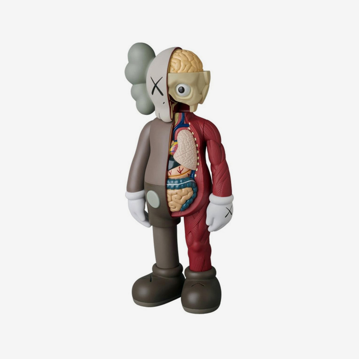 Kaws: Companion Flayed Open Dissected | Sgustok Design